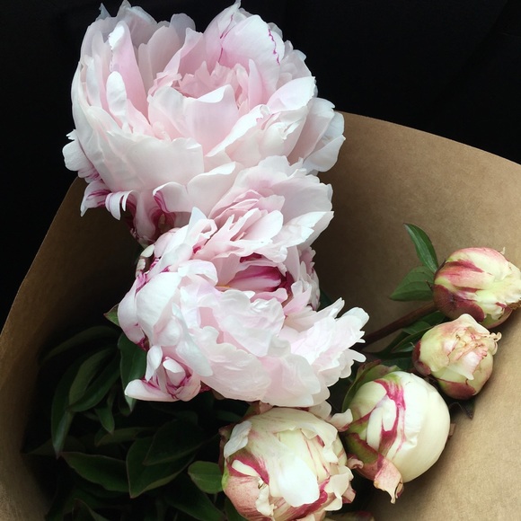 Meet your Posher, Michelle - Picture 2 of 4